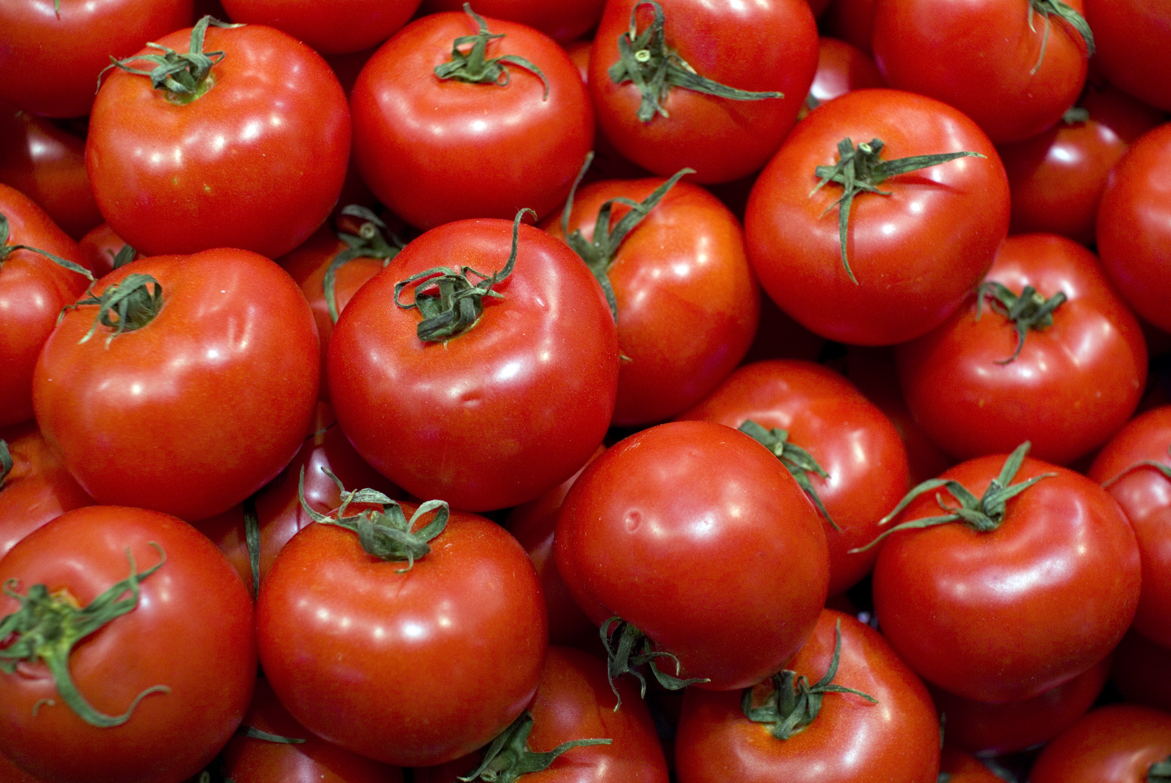 Tomate Caipira